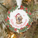 Search for golden retriever christmas tree decorations Floral