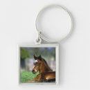 Search for lying down key rings Horse
