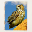 Search for owls planners Animal