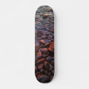 Search for twilight skateboards Sunset