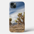 Search for joshua tree electronics Photography
