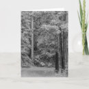 Search for adventure christmas cards White