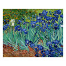 Search for vintage floral posters Irises