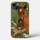 Search for seasons ipad cases Usa