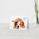 Search for thank you for your kindness Dog