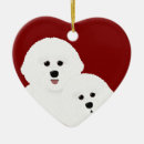 Search for bichon frise christmas tree decorations Animals