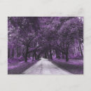 Search for state tree postcards Photography