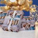 Search for standard poodle wrapping paper Pets