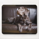 Search for sofa mousepads Indoors