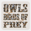 Search for birds of prey stickers Owl