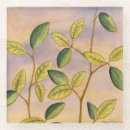 Search for backgrounds coasters Green
