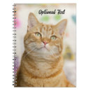 Search for tabby cat notebooks Animal