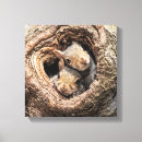 Search for animals canvas prints Woodland