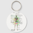 Search for anatomy key rings Biology
