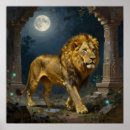 Search for golden lion posters Wildlife