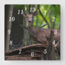 Search for hunting deer clocks Wild life