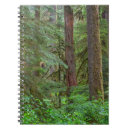 Search for oregon notebooks Tree