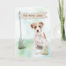 Search for wire haired postcards Jack russell