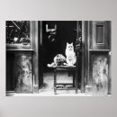 Search for black sunglasses posters Black and white