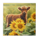 Search for highland tiles Calf