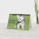 Search for kitten greeting Unique