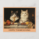 Search for thanksgiving cat postcards Funny