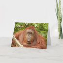 Search for orangutan birthday cards Zoo
