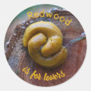 Search for banana slug California