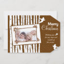 Search for birch trees christmas cards Rustic