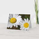 Search for for your support thank you cards Daisy