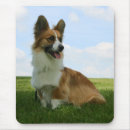Search for cardigan mousepads Dog