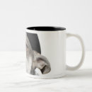 Search for eyes closed mugs Studio shot