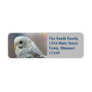 Search for parakeet return address labels Bird