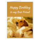 Search for cute dog birthday postcards Humour