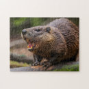 Search for beaver puzzles Animal