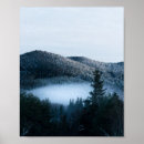 Search for traps posters Nature