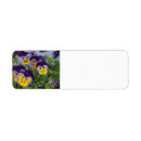 Search for purple pansy return address labels Garden