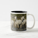 Search for wild horses running mugs White