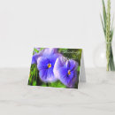 Search for frosting cards Flowers