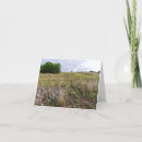 Search for landscape cards Scenic