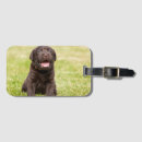 Search for dog luggage tags Sweet