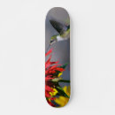 Search for beautiful skateboards Nature