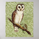 Search for owl lovers posters Bird lover