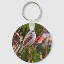 Search for sparrow key rings Tree