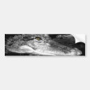 Search for gators bumper stickers Swamp