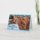 Search for ginger cat birthday cards Humour