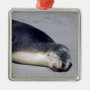 Search for baby seal christmas tree decorations Sea lion