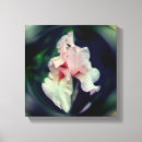 Search for iris canvas prints Nature