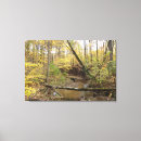 Search for stream canvas prints Woods