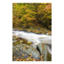 Search for whitewater art Usa